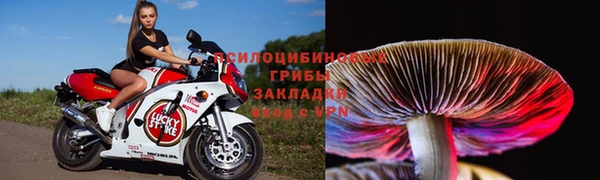 молекула духа Навашино