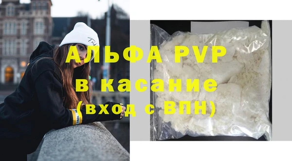 гашик Надым