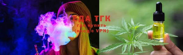 прущие грибы Ахтубинск