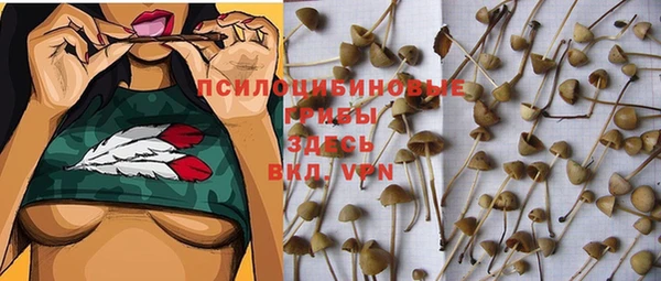 гашик Надым