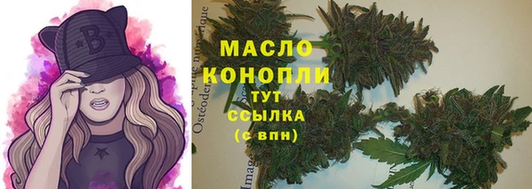 гашик Надым