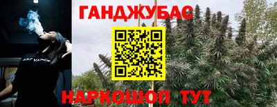 гашик Волгодонск
