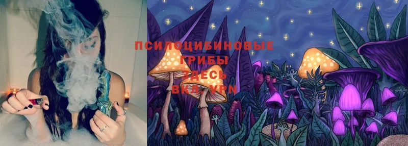 Псилоцибиновые грибы Magic Shrooms  магазин  наркотиков  Копейск 