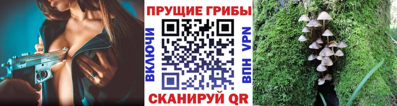 Галлюциногенные грибы мухоморы  Копейск 