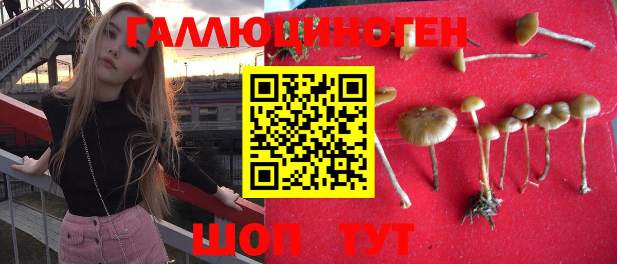 Галлюциногенные грибы Magic Shrooms  Копейск  дарнет шоп  Псилоцибиновые грибы мухоморы 