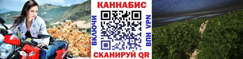 Каннабис Amnesia  что такое   Копейск 